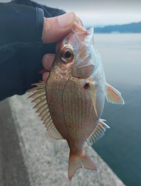 初めてジギングで釣れました